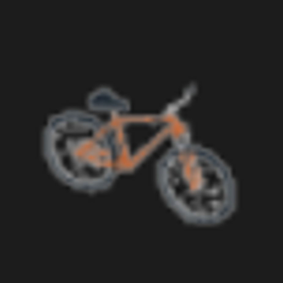 Personal Transport icon